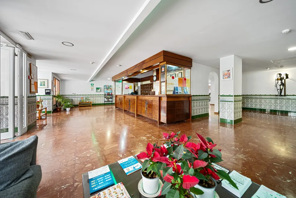 Open plan living and dining, WL Costa Properties · 2024 · shoot 6