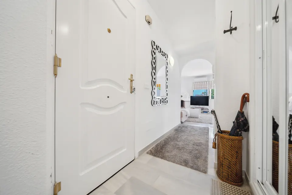 Entrance, Suncoaster · 2024 · shoot 2