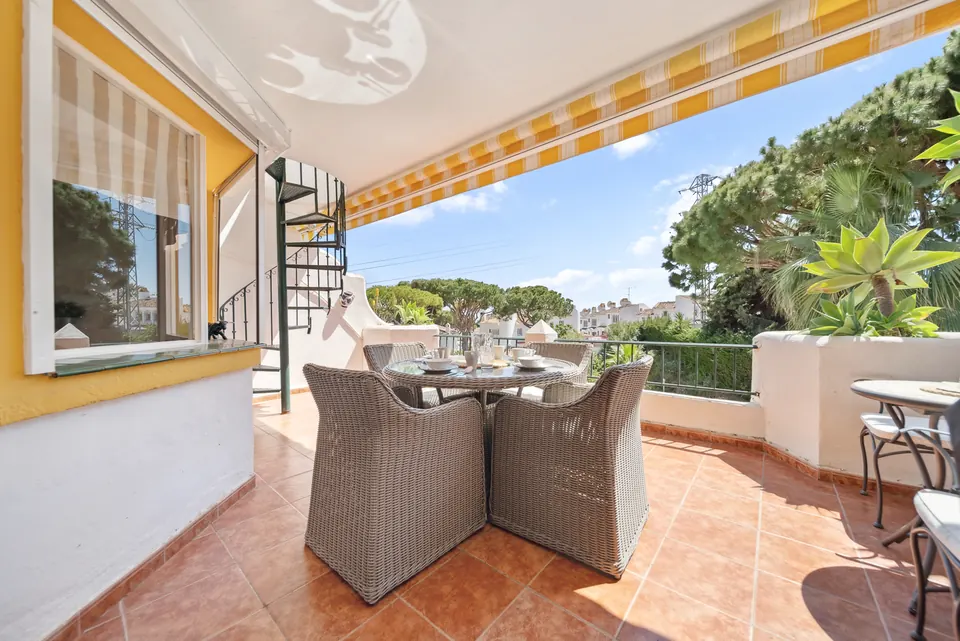 Terrace, Suncoaster · 2024 · shoot 2