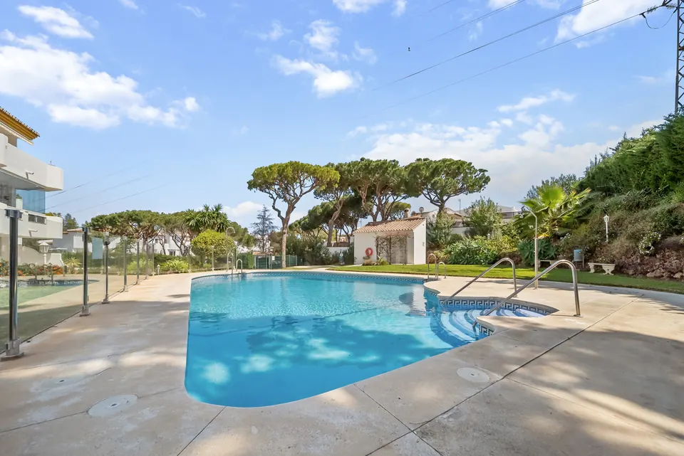Pool, Suncoaster · 2024 · shoot 2