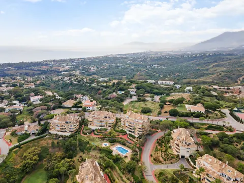 Aerial view, Suncoaster · 2024 · shoot 3