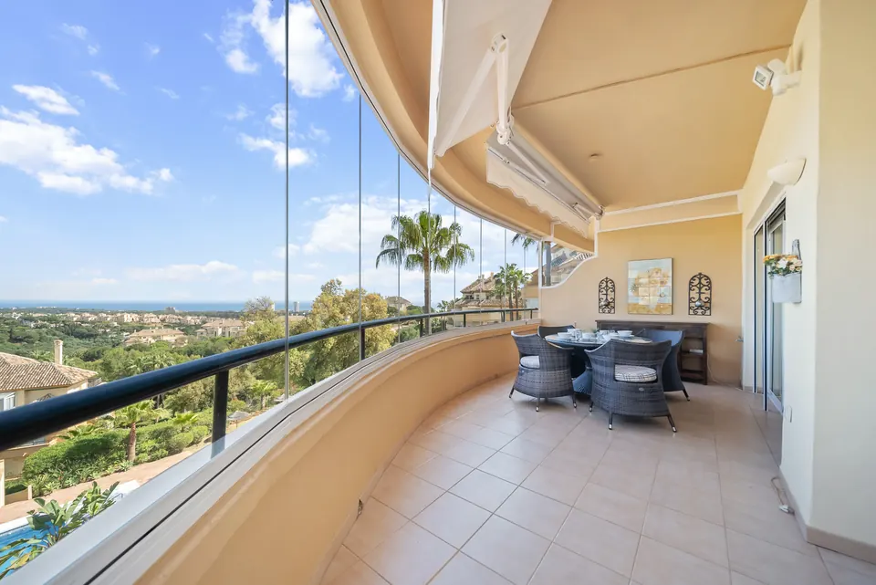 Terrace, Suncoaster · 2024 · shoot 3