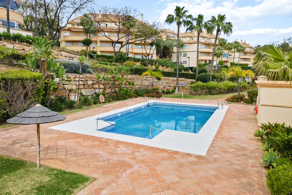 Pool, Suncoaster · 2024 · shoot 3