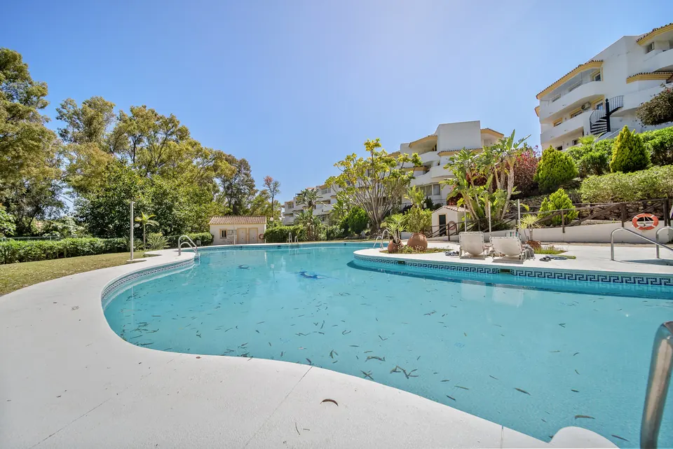Pool, Suncoaster · 2024 · shoot 4