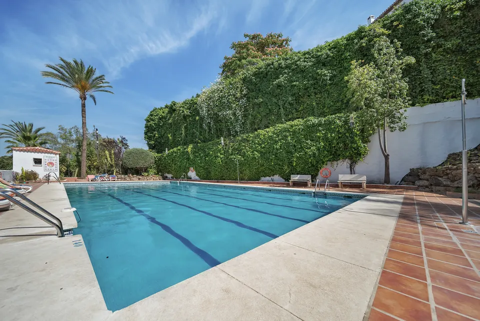 Pool, Mila Homes · 2024 · shoot 9