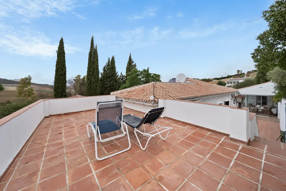 Terrace, WL Costa Properties · 2024 · shoot 22