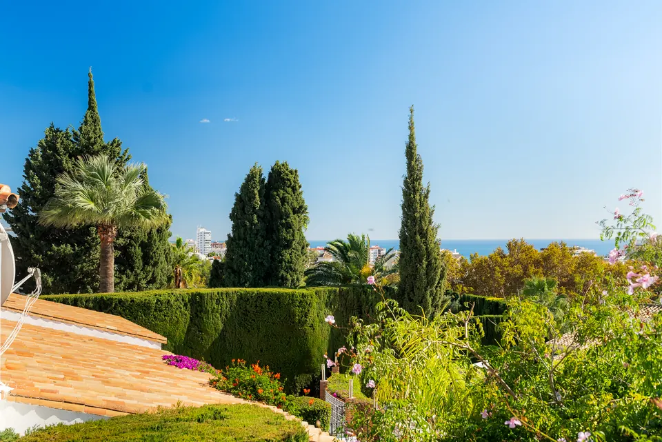 Garden, WL Costa Properties · 2024 · shoot 26