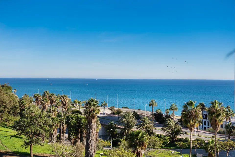 Sea view, Costasolrent · 2024 · shoot 8
