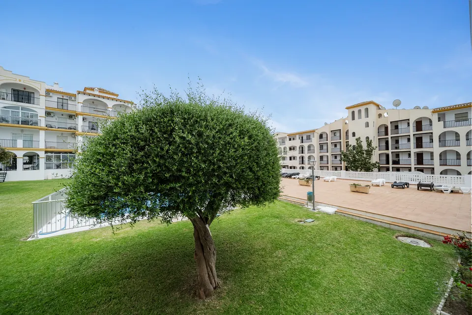 Garden, WL Costa Properties · 2025 · shoot 11