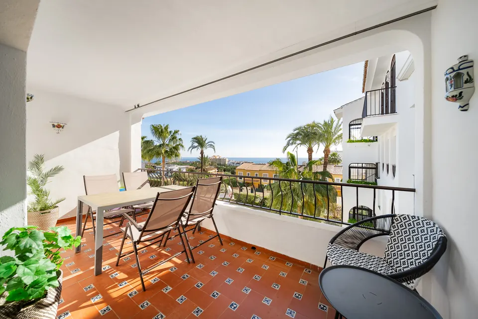 Terrace, Suncoaster · 2025 · shoot 2