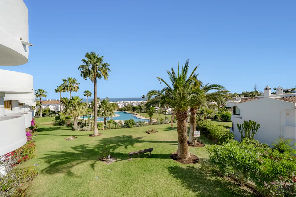 Garden, Suncoaster · 2025 · shoot 3