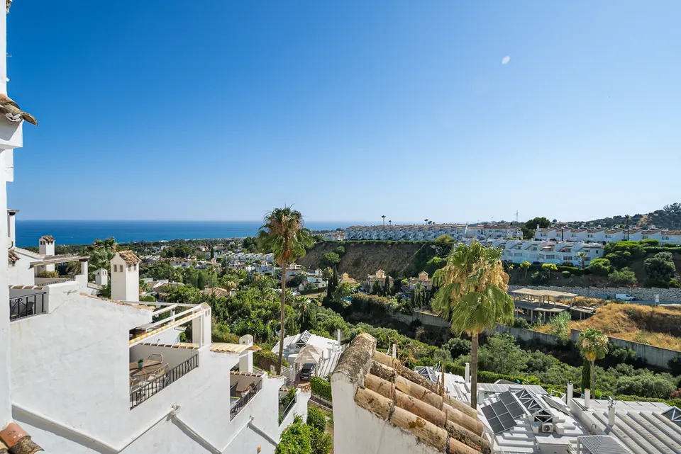Sea view, Suncoaster · 2025 · shoot 4