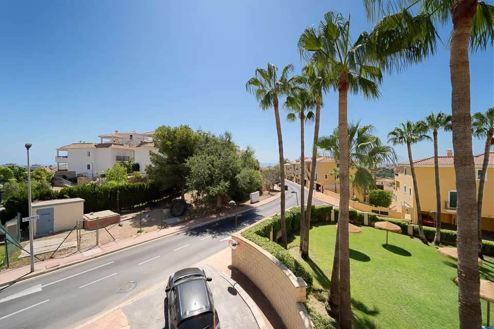 Garden, WL Costa Properties · 2025 · shoot 17