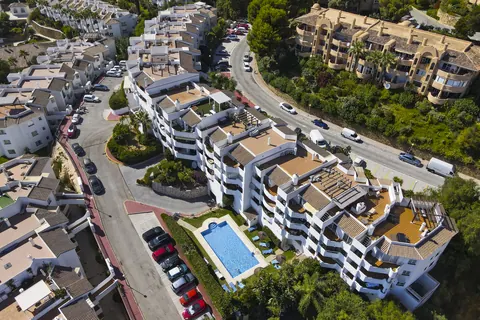 Aerial view, Suncoaster · 2025 · shoot 5