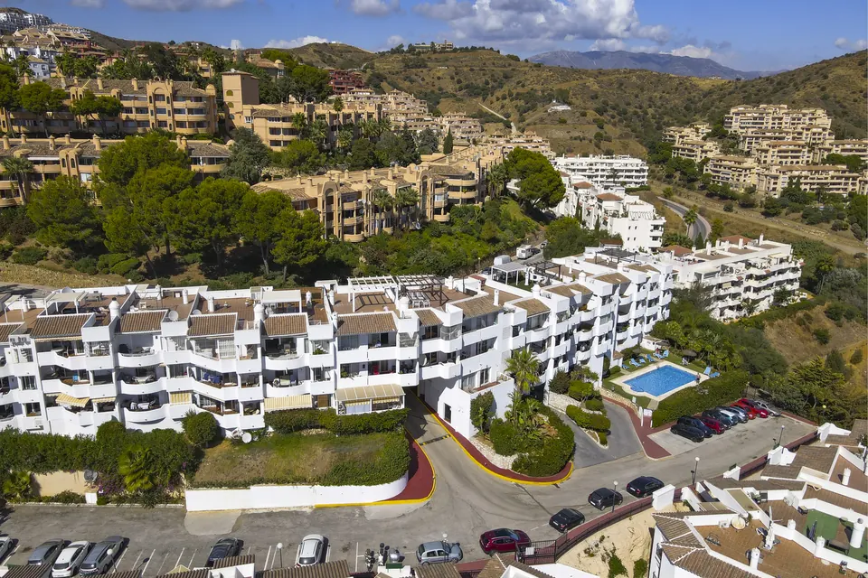 Aerial view, Suncoaster · 2025 · shoot 5