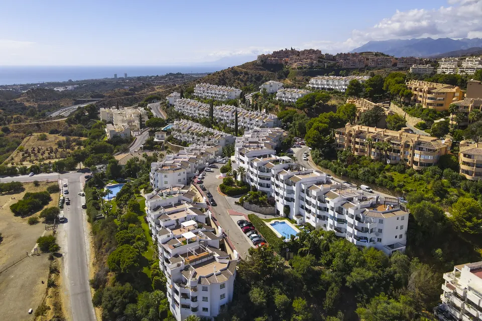 Aerial view, Suncoaster · 2025 · shoot 5
