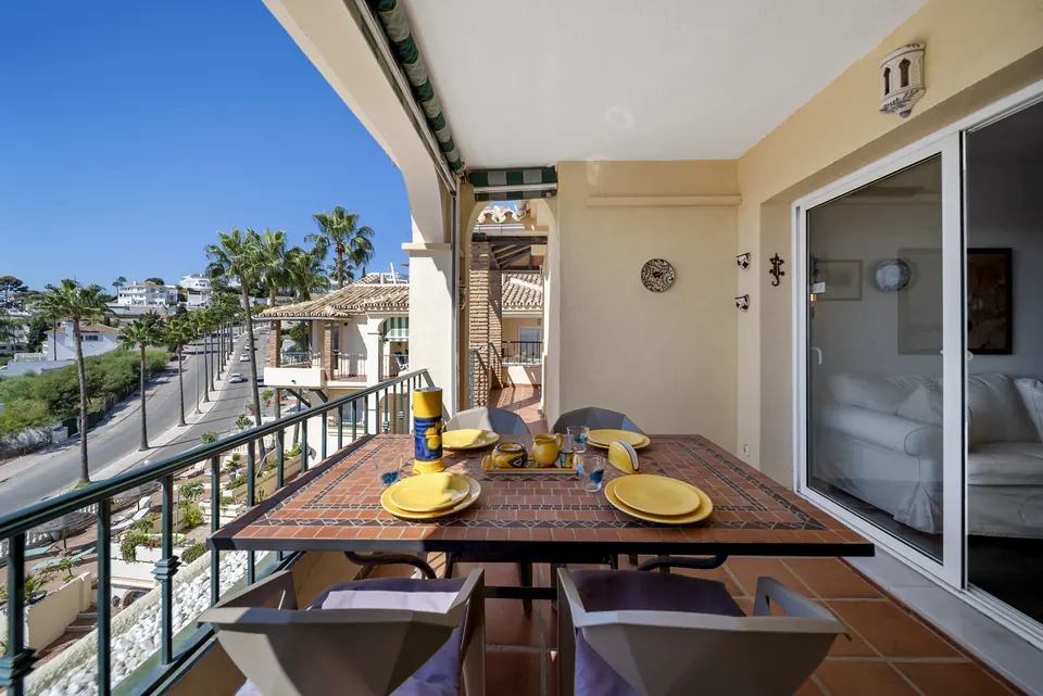 Terrace, Suncoaster · 2025 · shoot 6