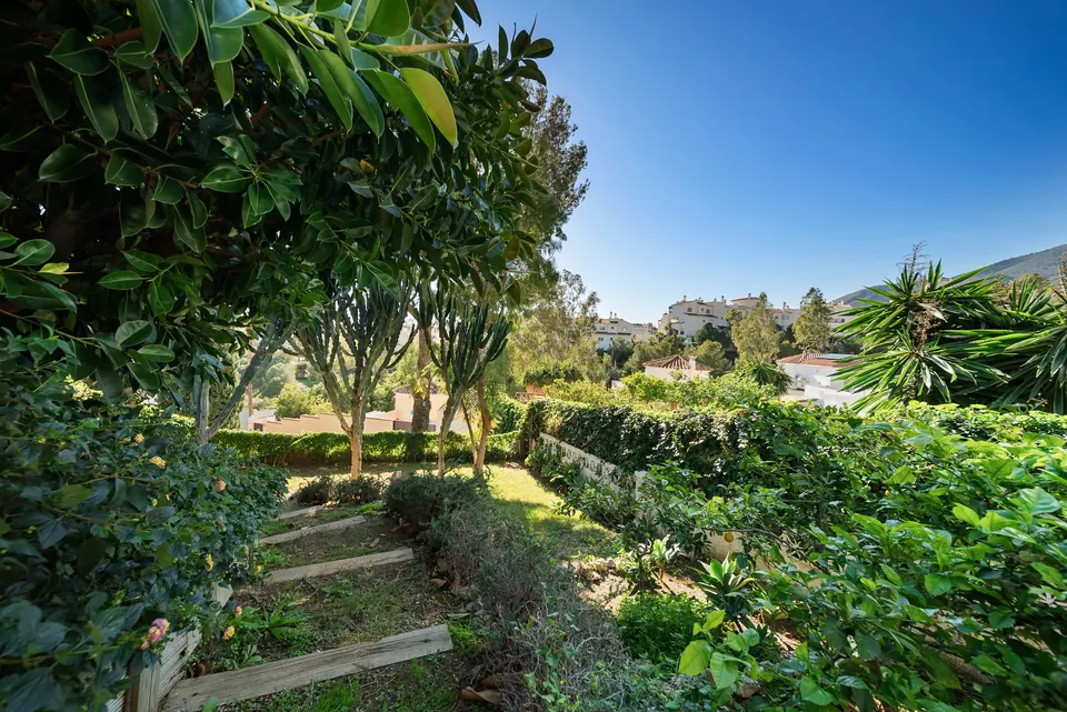 Garden, WL Costa Properties · 2025 · shoot 3