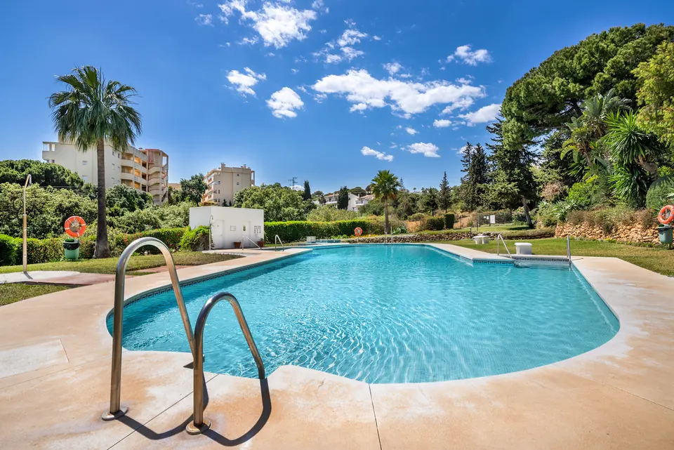 Pool, Suncoaster · 2023 · shoot 2