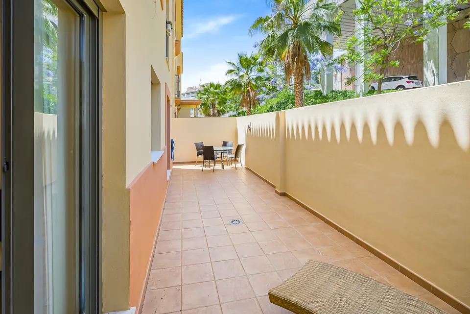 Terrace, Suncoaster · 2023 · shoot 5