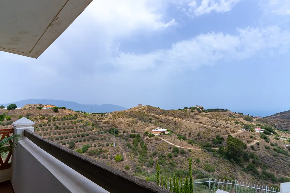 Sea view, Suncoaster · 2023 · shoot 8