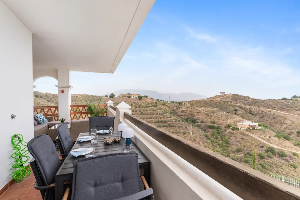 Terrace, Suncoaster · 2023 · shoot 8