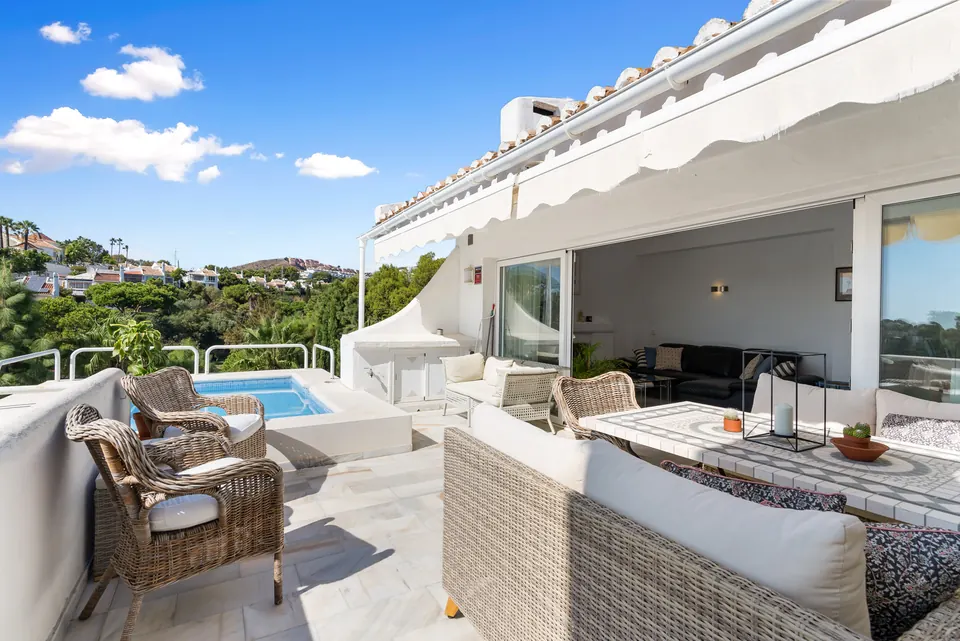 Terrace, Suncoaster · 2023 · shoot 13