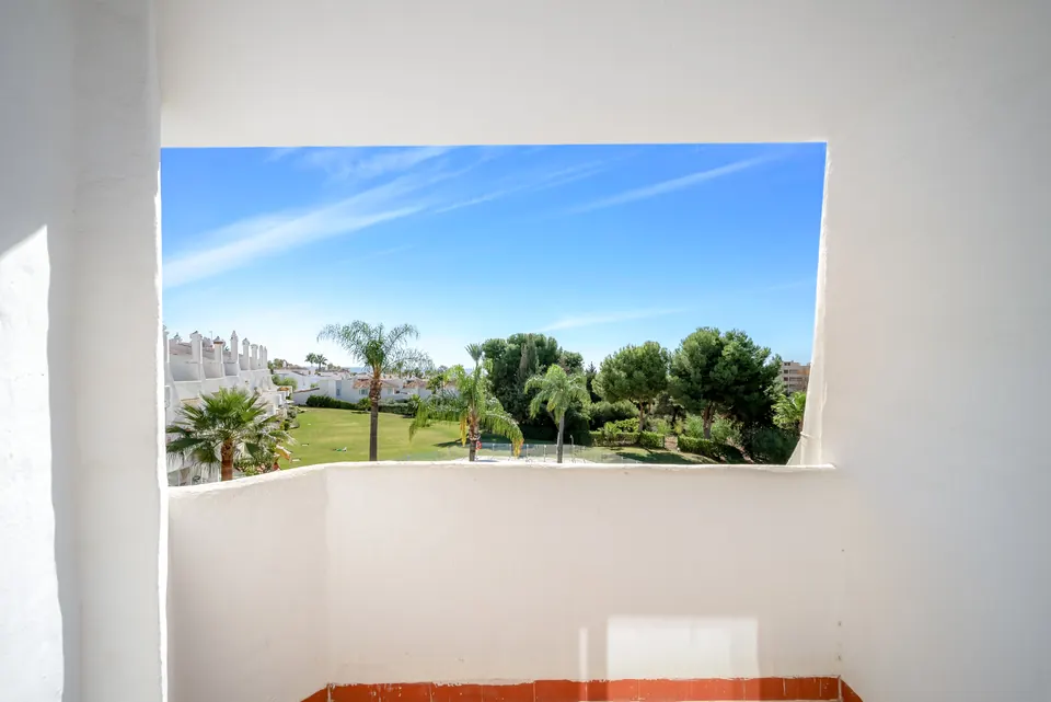 Sea view, Suncoaster · 2023 · shoot 14