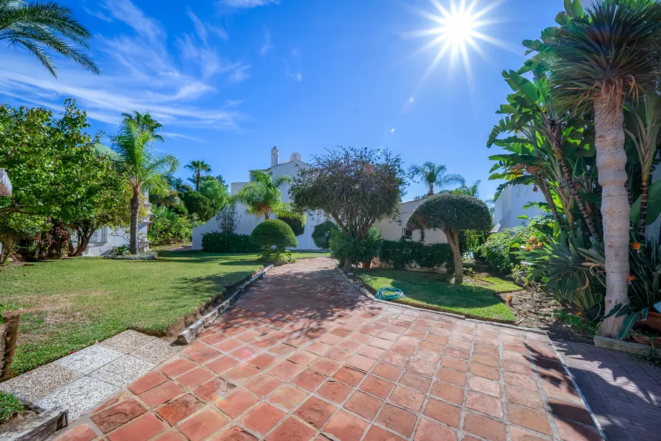 Garden, Suncoaster · 2023 · shoot 14